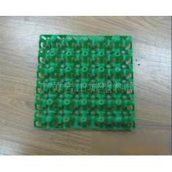 臺州市雞蛋批發 雞蛋供應 雞蛋廠家 