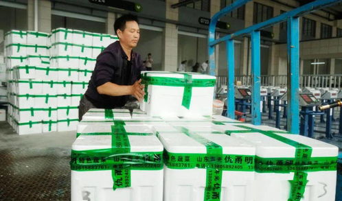 寧波最大 菜場(chǎng) 今天開(kāi)市 35年4次搬遷,這些老市場(chǎng)你還記得嗎