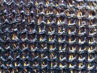 臺州市路橋區新大陸遮陽網廠